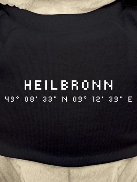 Coordonnées Heilbronn