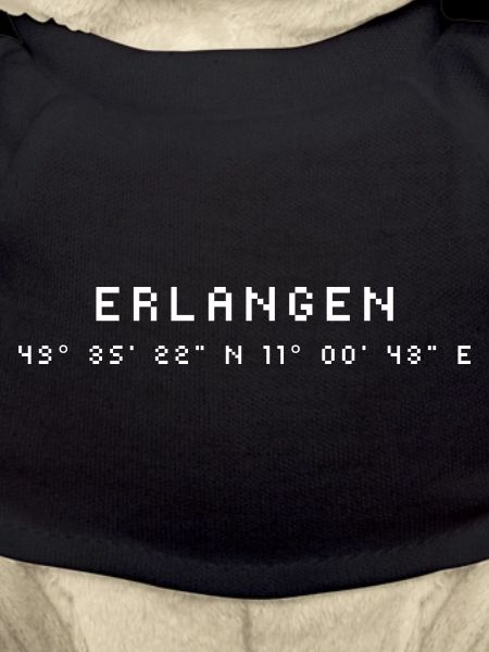 Erlangen Koordinaten