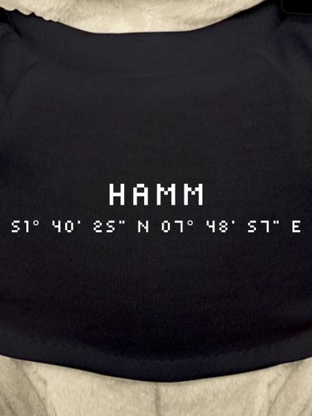 Coordonnées Hamm