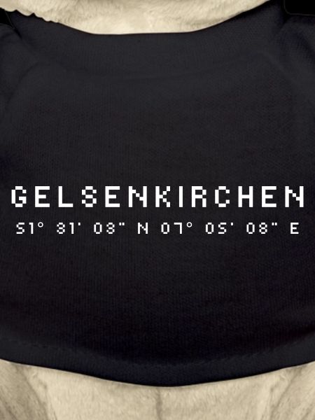 Coordonnées de Gelsenkirchen