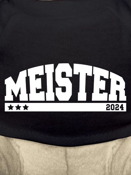 Meister 2024