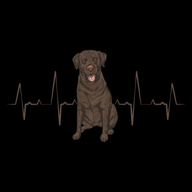 Schoko Brauner Labrador Retriever Hund