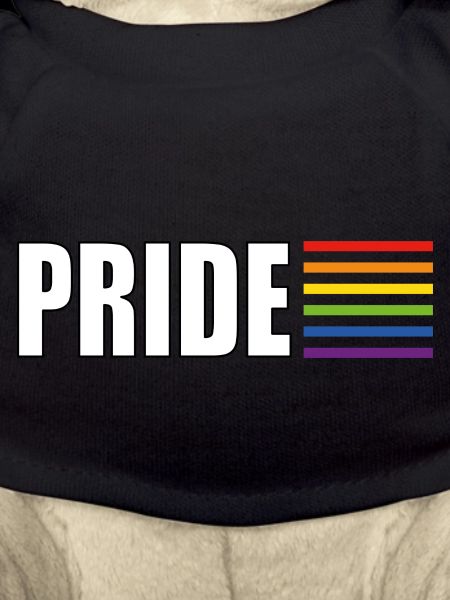 Pride rainbow flag