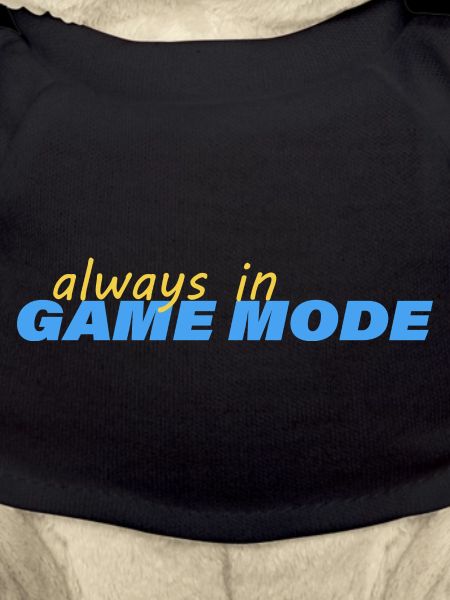 ALWAYS IN GAME MODE