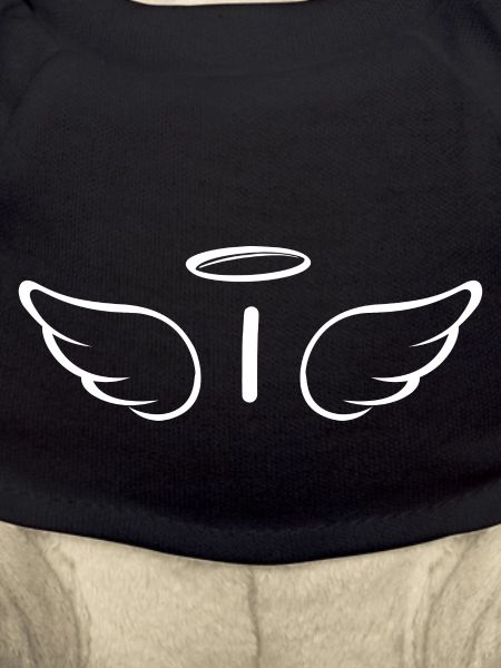 Letter i angel wings