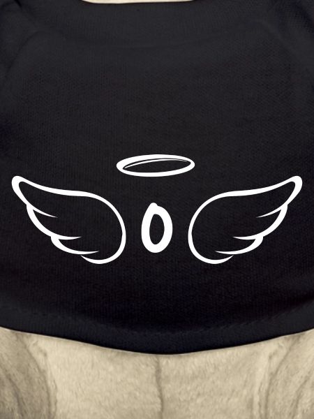 Letter o angel wings