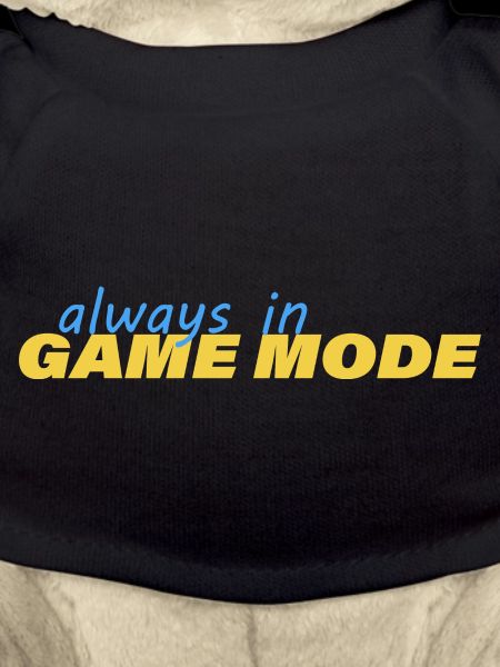 ALWAYS IN GAME MODE