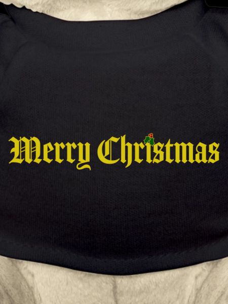 Merry Christmas