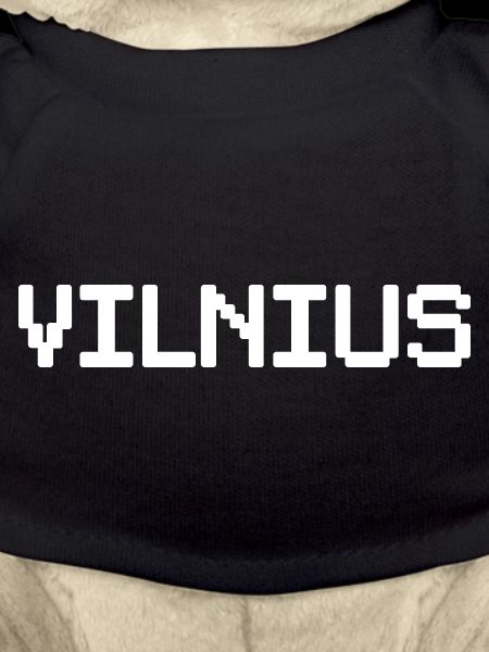 VILNIUS, Lithuania, Lithuania
