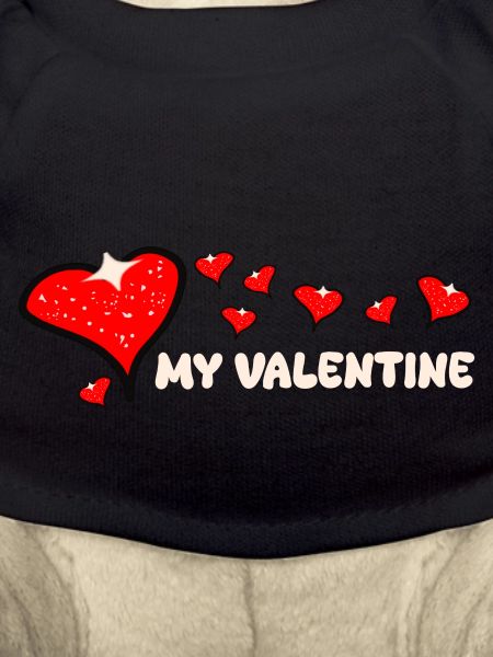 Pompous Valentine's Day