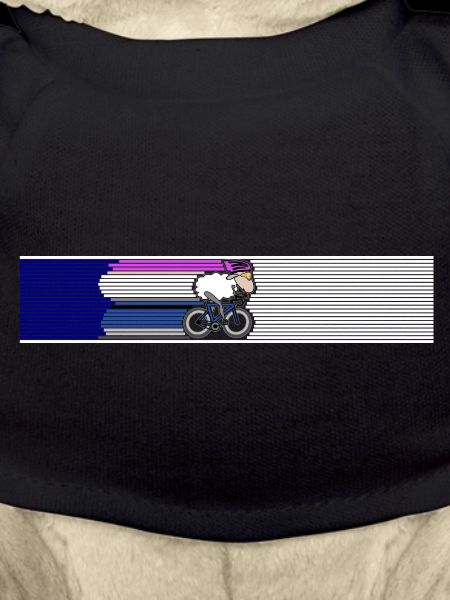 Tri Radfahren