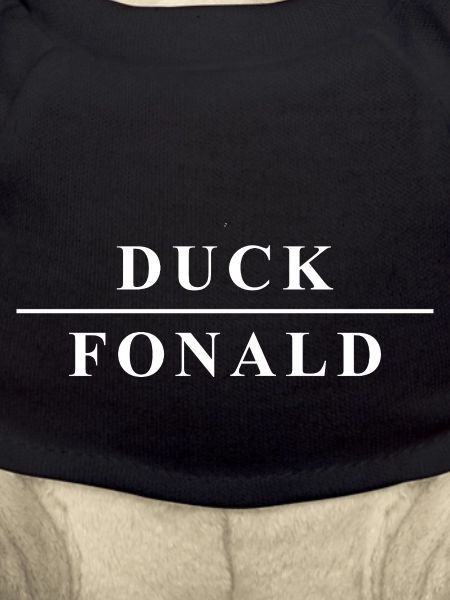Duck Fonald - 