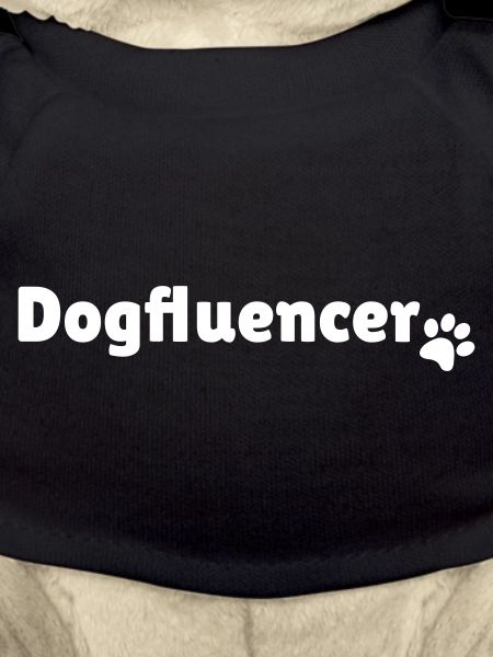 Dogfluencer