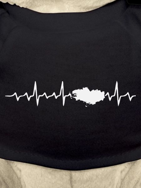 Breton ECG electrocardiogram