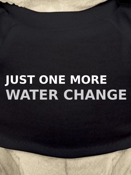 Nur noch einen Wasserwechsel