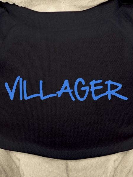 VILLAGER