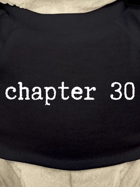 chapitre 30 Anniversaire
