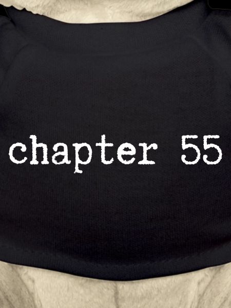 chapter 55 Birthday
