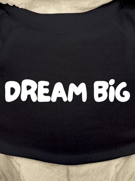 Dream big