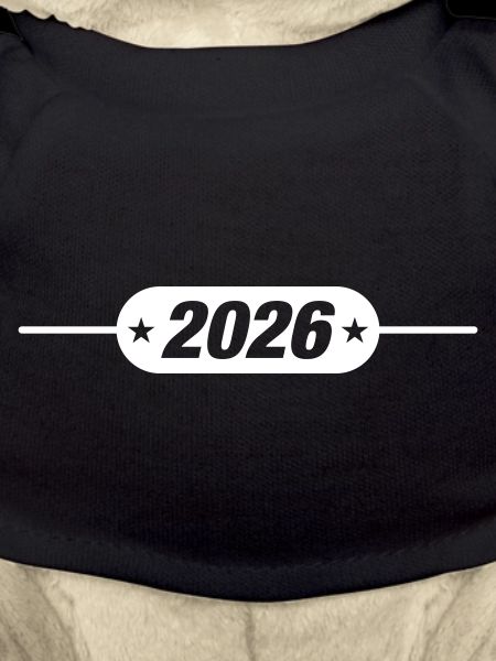 2026 year