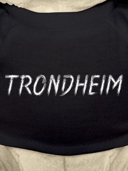 Trondheim Lettering Brush
