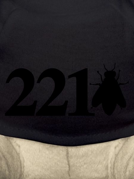 sherlock_221bee