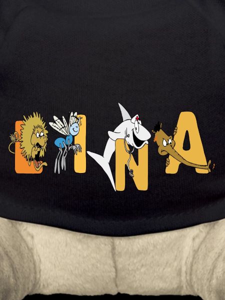 Lina