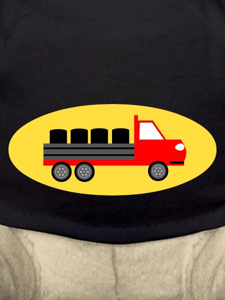 Camion