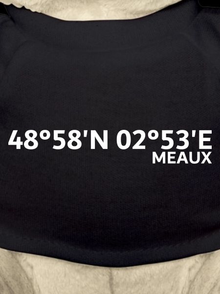 Coordonnées de Meaux