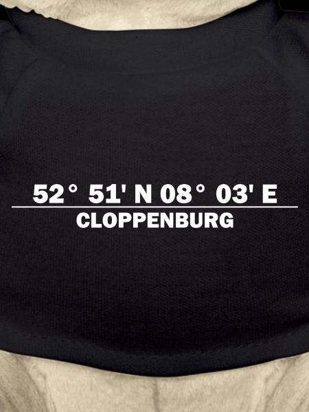 Coordonnées de Cloppenburg