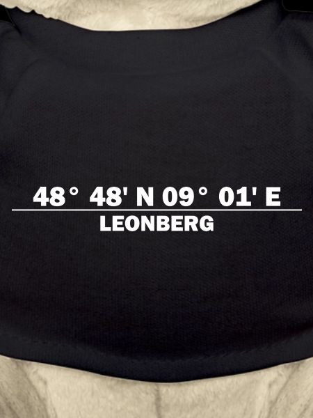 Coordonnées de Leonberg