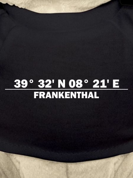 Frankenthal Koordinaten