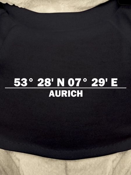 Coordonnées d’Aurich