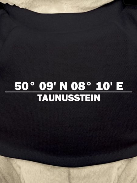 Coordonnées de Taunusstein
