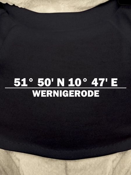 Coordonnées de Wernigerode