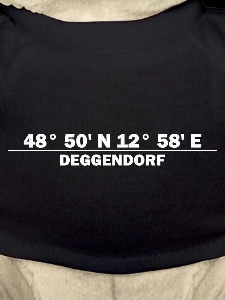 Coordonnées de Deggendorf