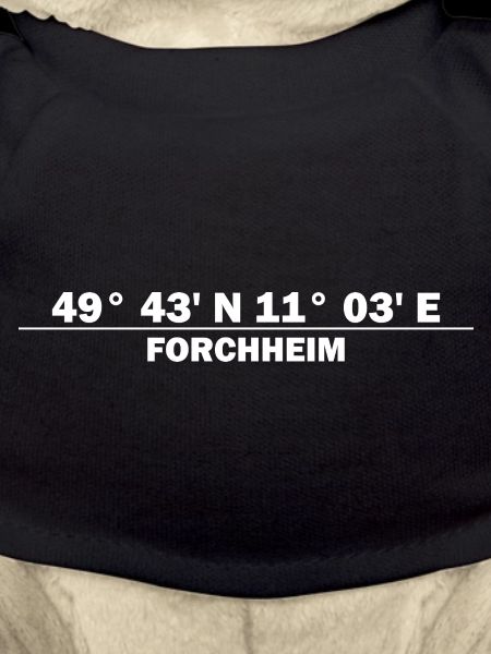 Coordonnées de Forchheim