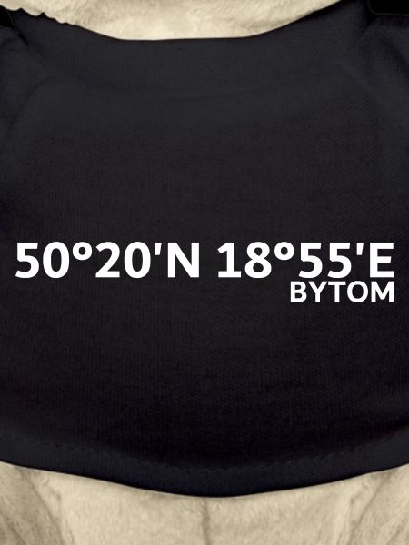 Bytom Koordinaten