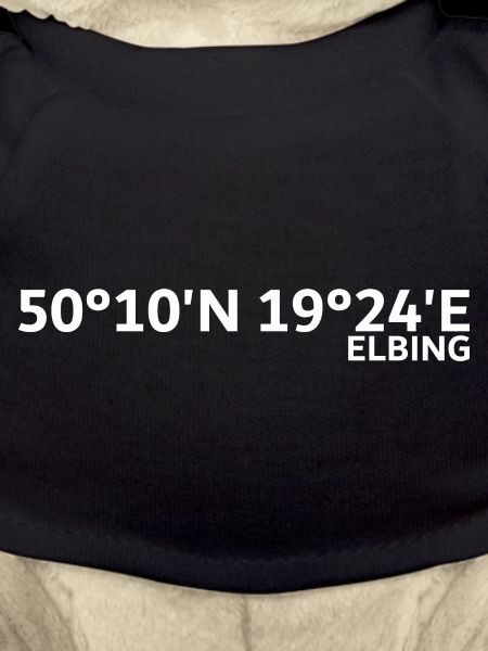 Coordonnées elbing