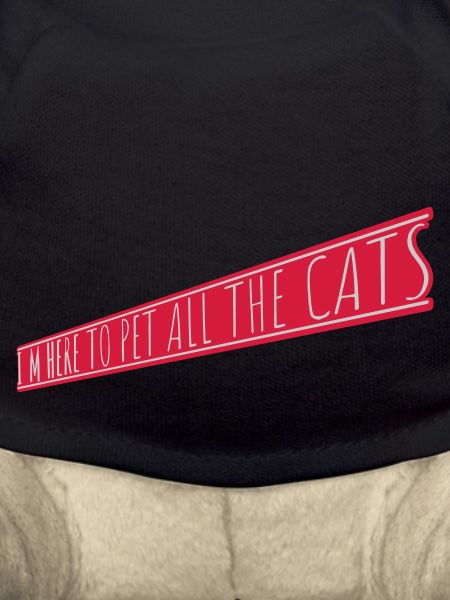 Pet All The Cats