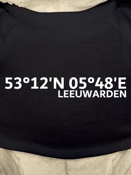 Leeuwarden coordinates