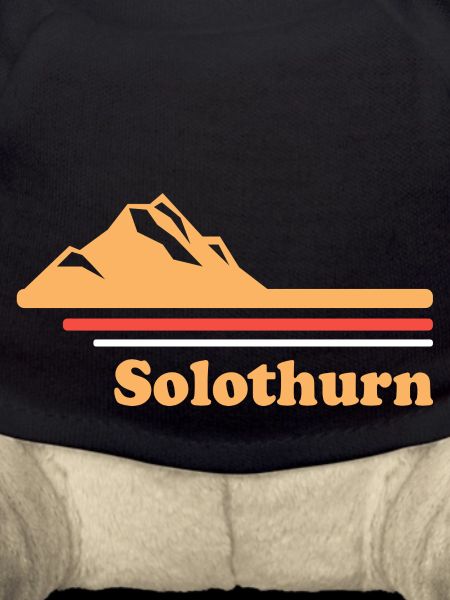 Soleure Suisse