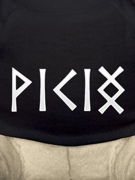 Viking - in runic script