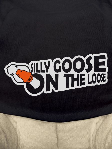goose on the loose