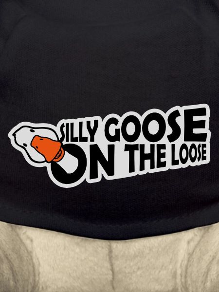 goose on the loose