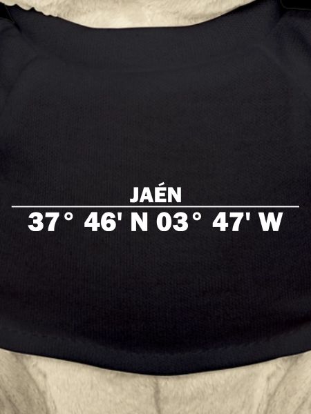 Coordonnées de Jaén