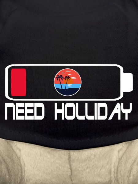 Battery Holliday