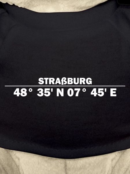 Strasbourg coordonne