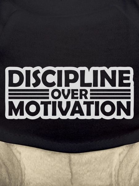 discipline over motivation quote