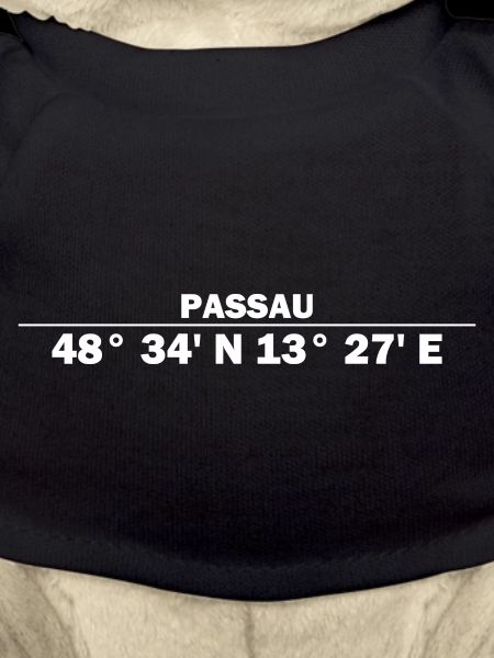 Coordonnées de Passau